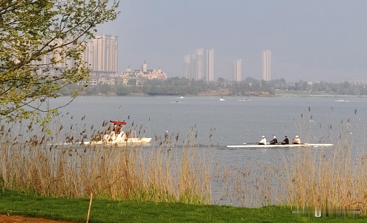 “天接云涛连晓雾，
星河欲转千帆舞。”
         ---李清照《渔家傲》