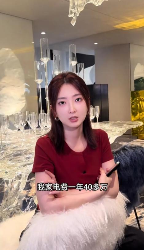 就说全球变暖赖不上我们！浙江33岁女子透露，她家电费一年要交40多万，1000平