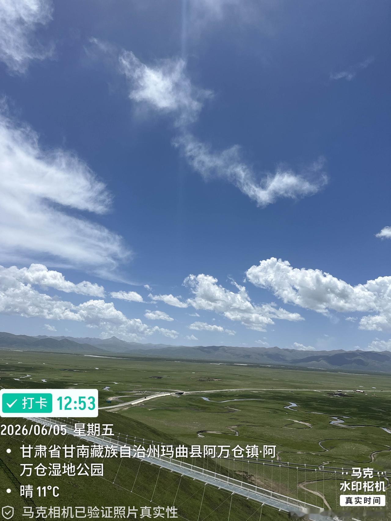 阿万仓湿地公园位于玛曲县阿万仓镇，被誉为“青藏高原的生态瑰宝”，这里拥有黄河上游
