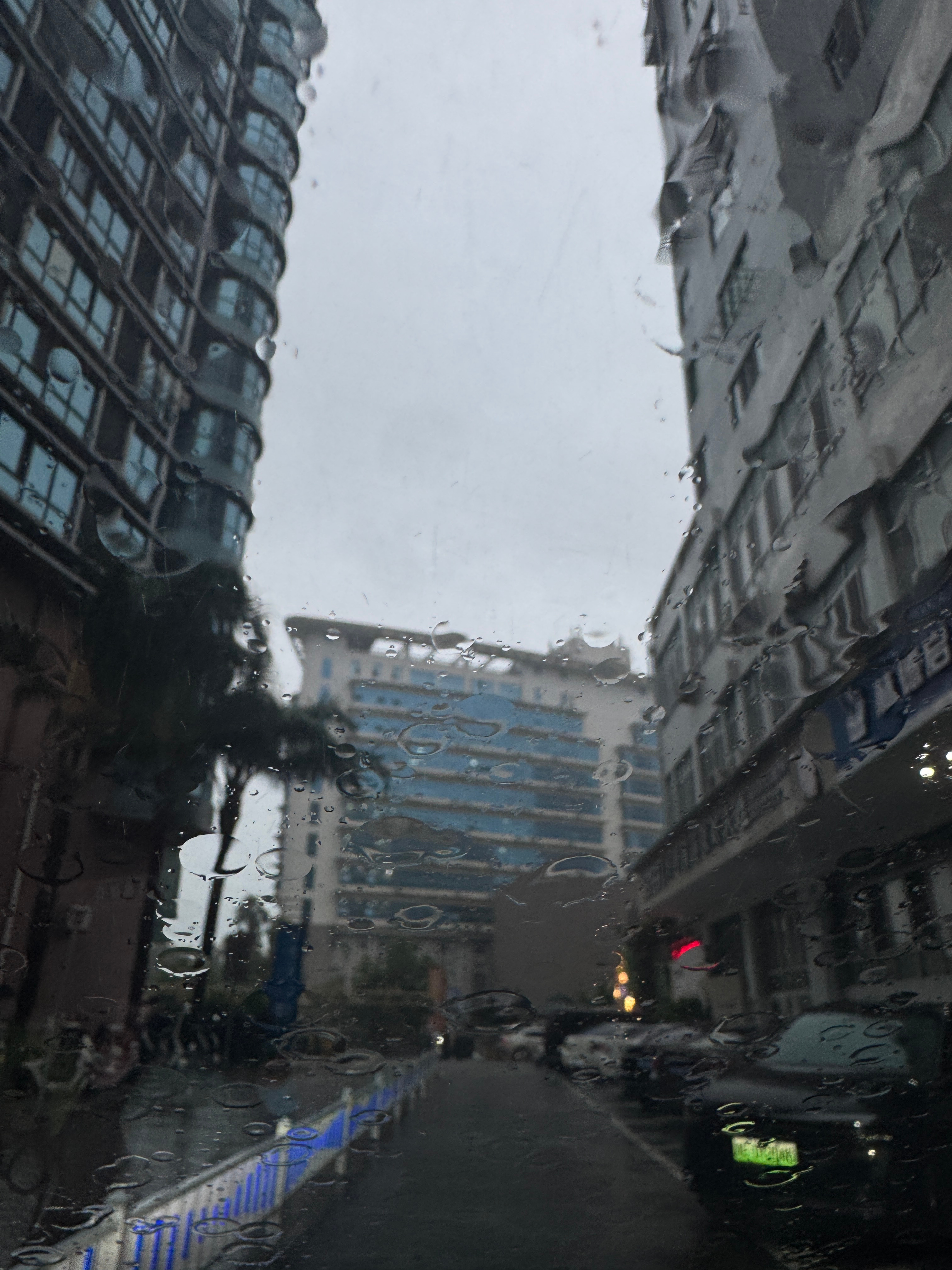 台风“沙德尔”复活？怪不得今天温州的天像被捅破了一样，下了一天的大暴雨，听说很多