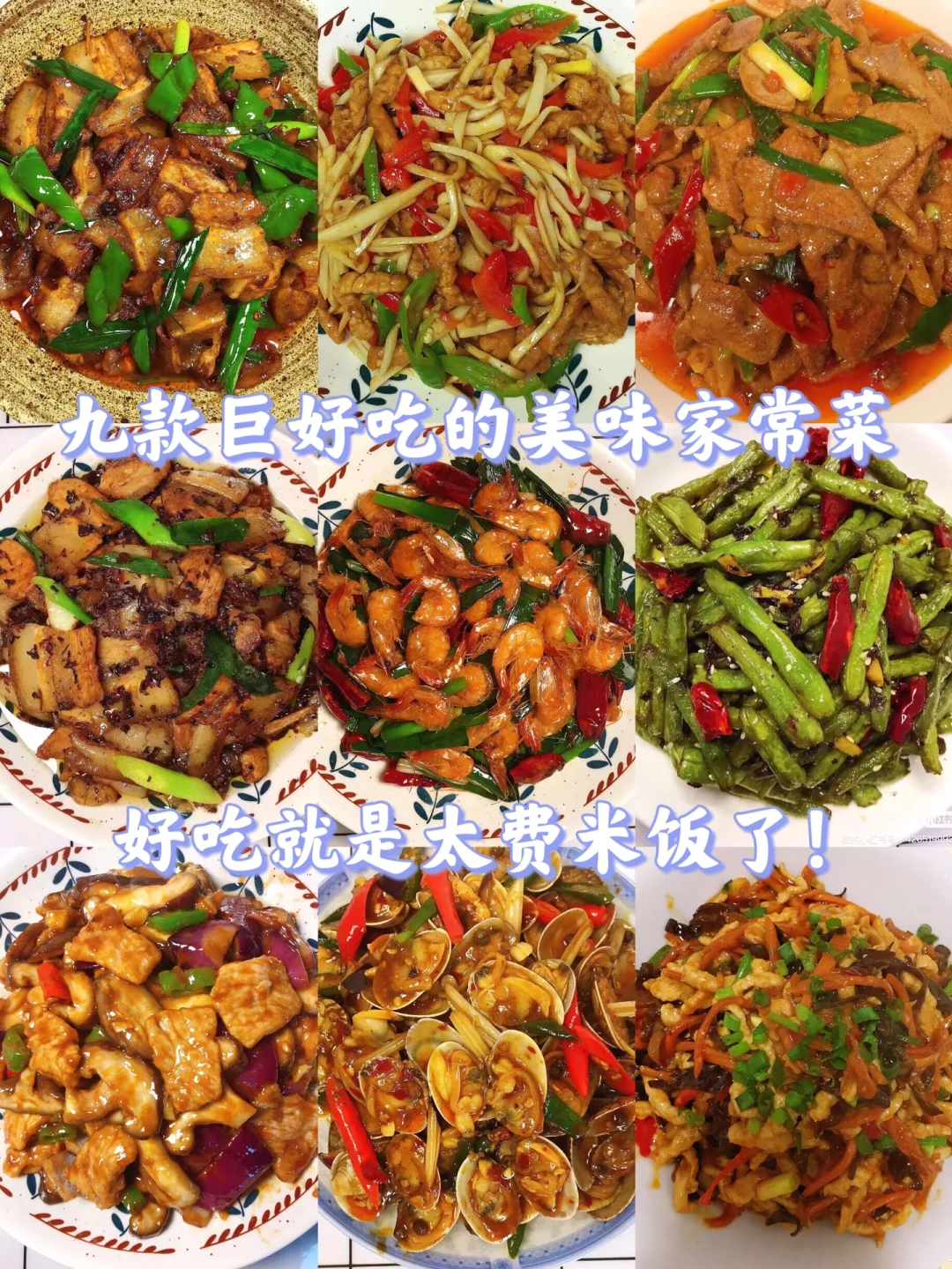 🌻大家好呀！今天给大家整理了9款家常炒菜！都是美味，超级好吃！赶紧安排起来吧！