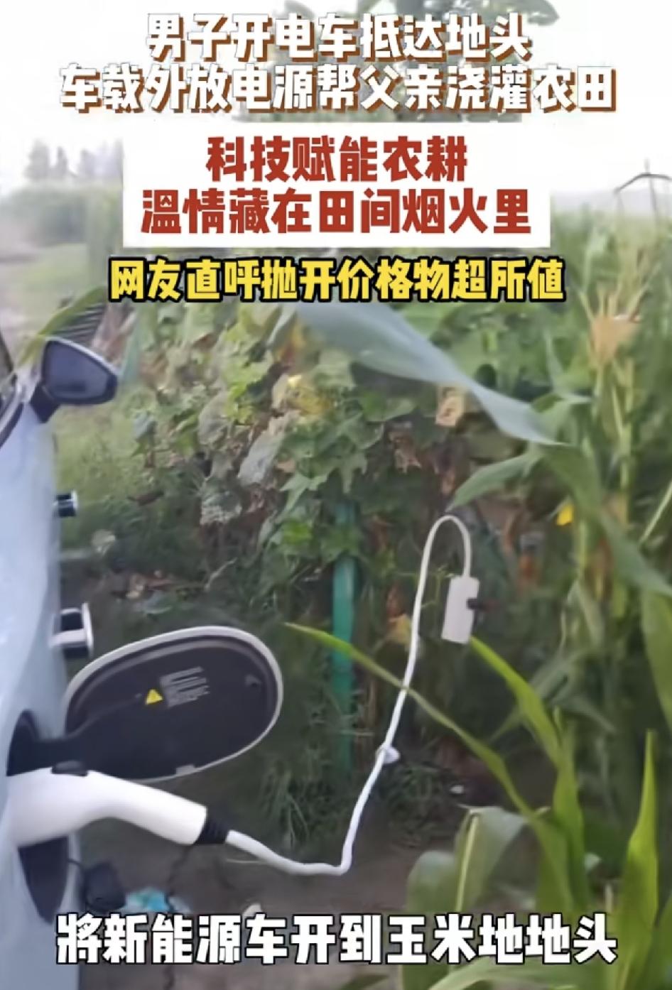 河南一男子将新能源车开到玉米地地头，利用车辆外放电功能连接地里的水泵。帮忙父亲交