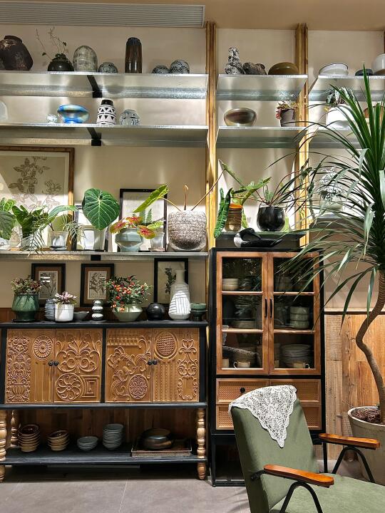 泉州首家！！超清新植物风小店🌳🌳