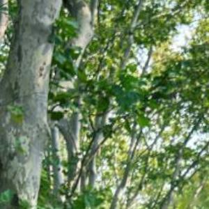 以前那个用颗糖就能哄好的女孩，后来你给蛋糕都不会回头了，因为在你身边吃够了苦头，