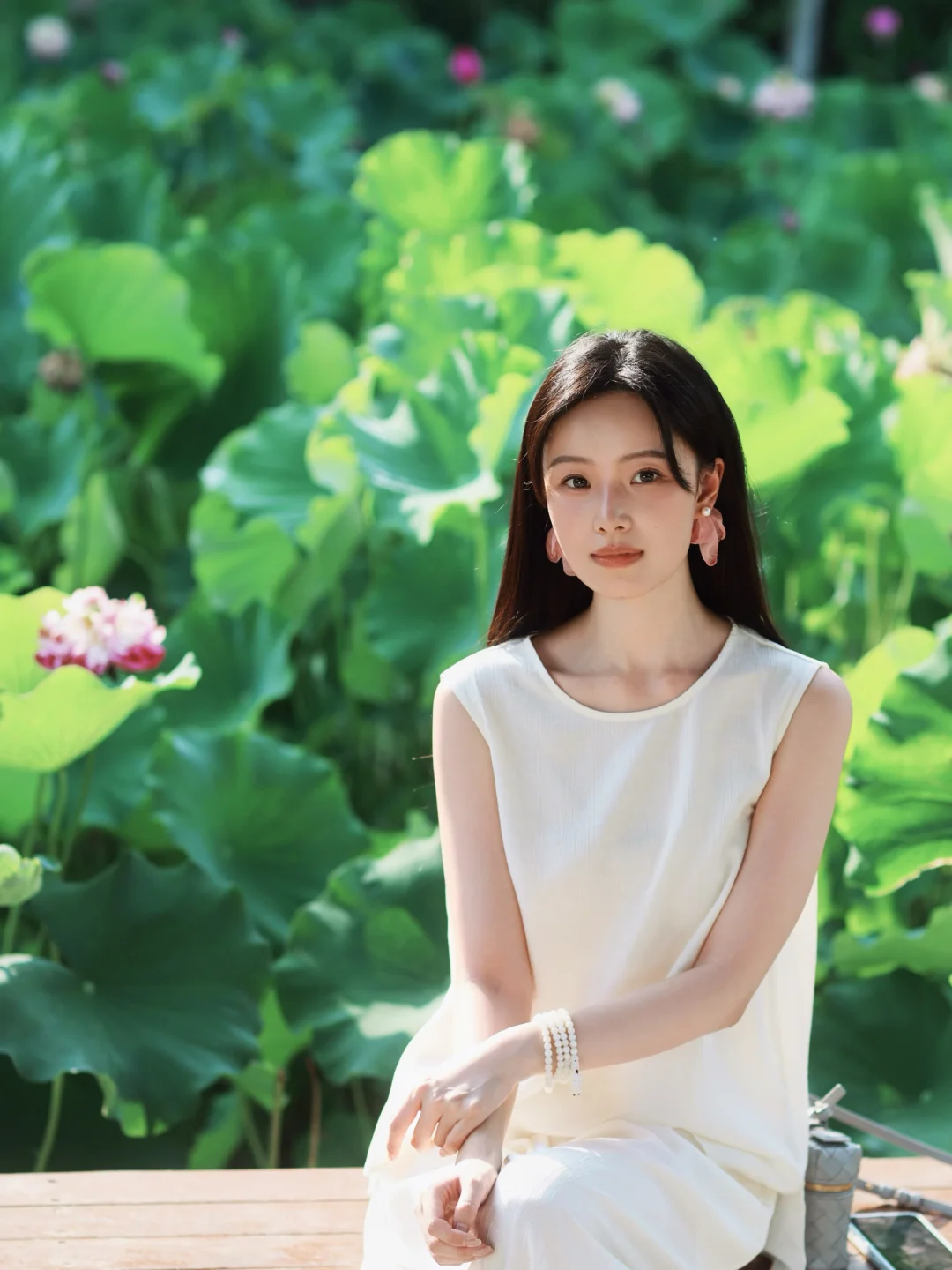 赏荷🪷 漫溢不刻意的柔性美