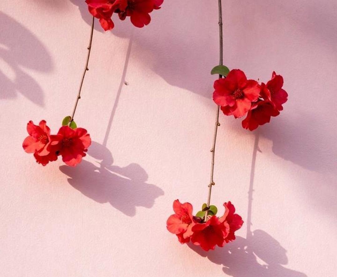 只要有人去干预干扰，
搞坏你心态的人，
都叫坏人，
任何情况，
任何理由，
任何