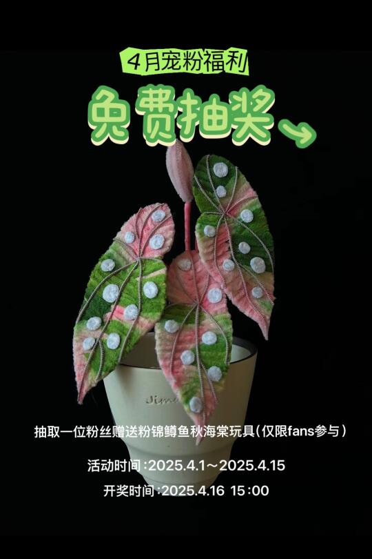 恭喜你中奖啦🎉，粉锦鳟鱼免费送