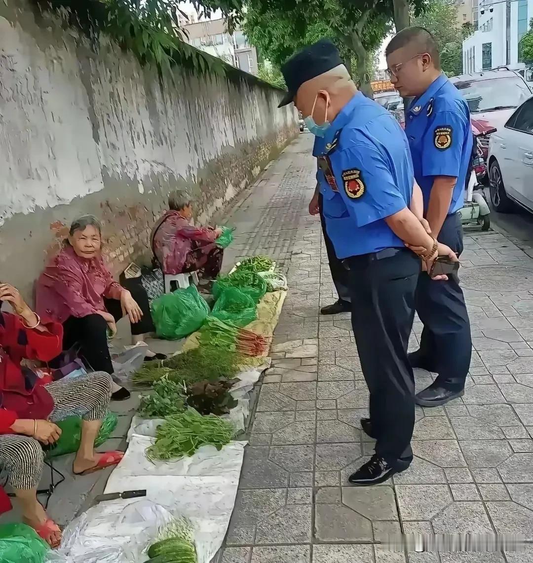 三个阿姨把自己种的菜拿出来卖，帮补家用！三个城管看着他们，让他们赶紧走，三个阿姨