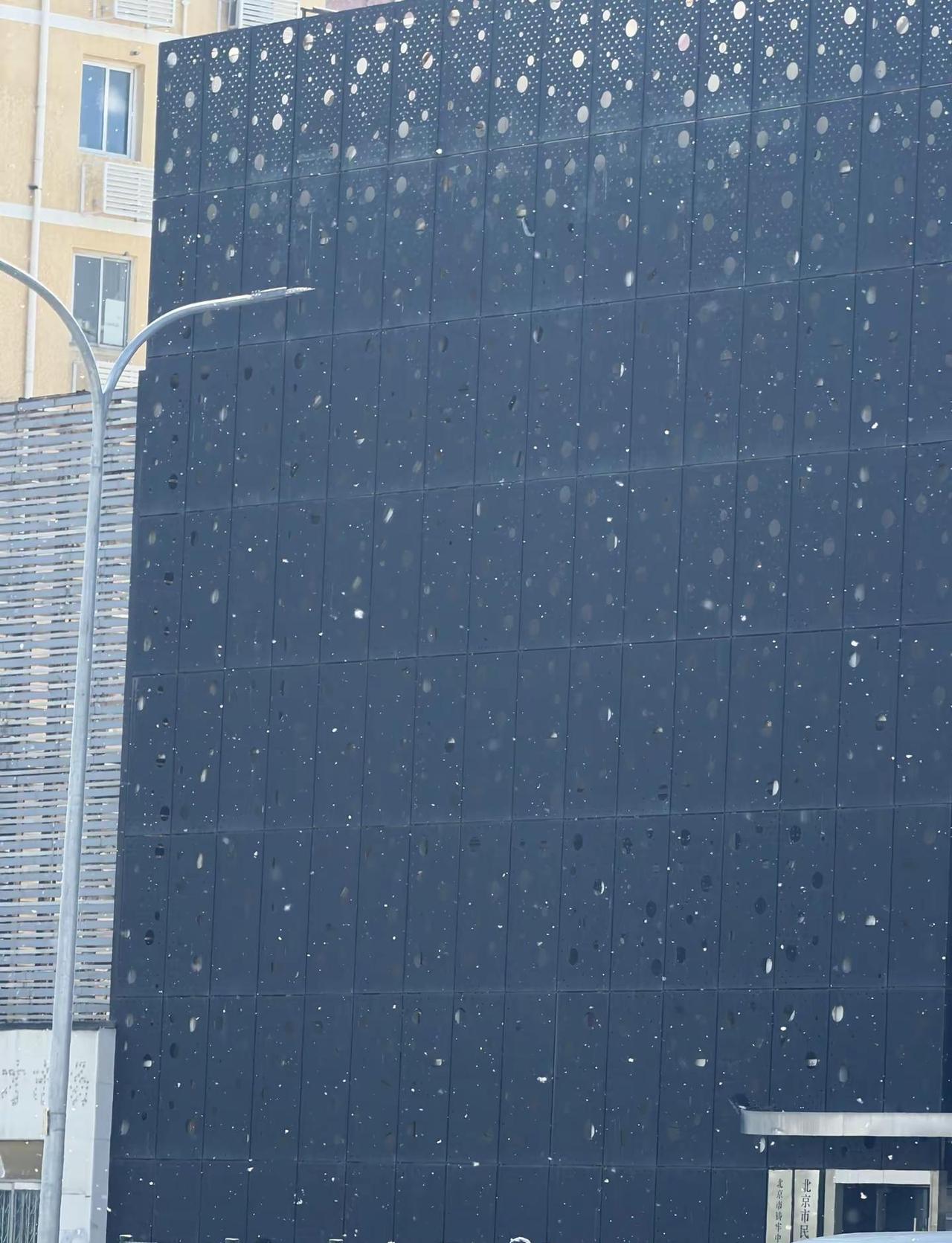 下雪了 心疼北京人民半个月北京 柳絮 杨絮
