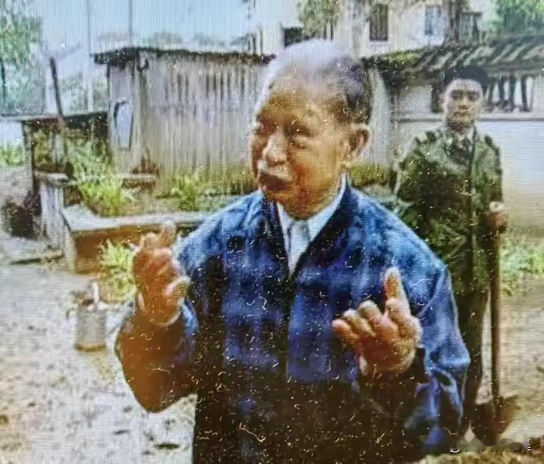 原广州军区副政委邓逸凡将军晚年在军区大院向记者介绍种菜养鸡收获时的瞬间。从199