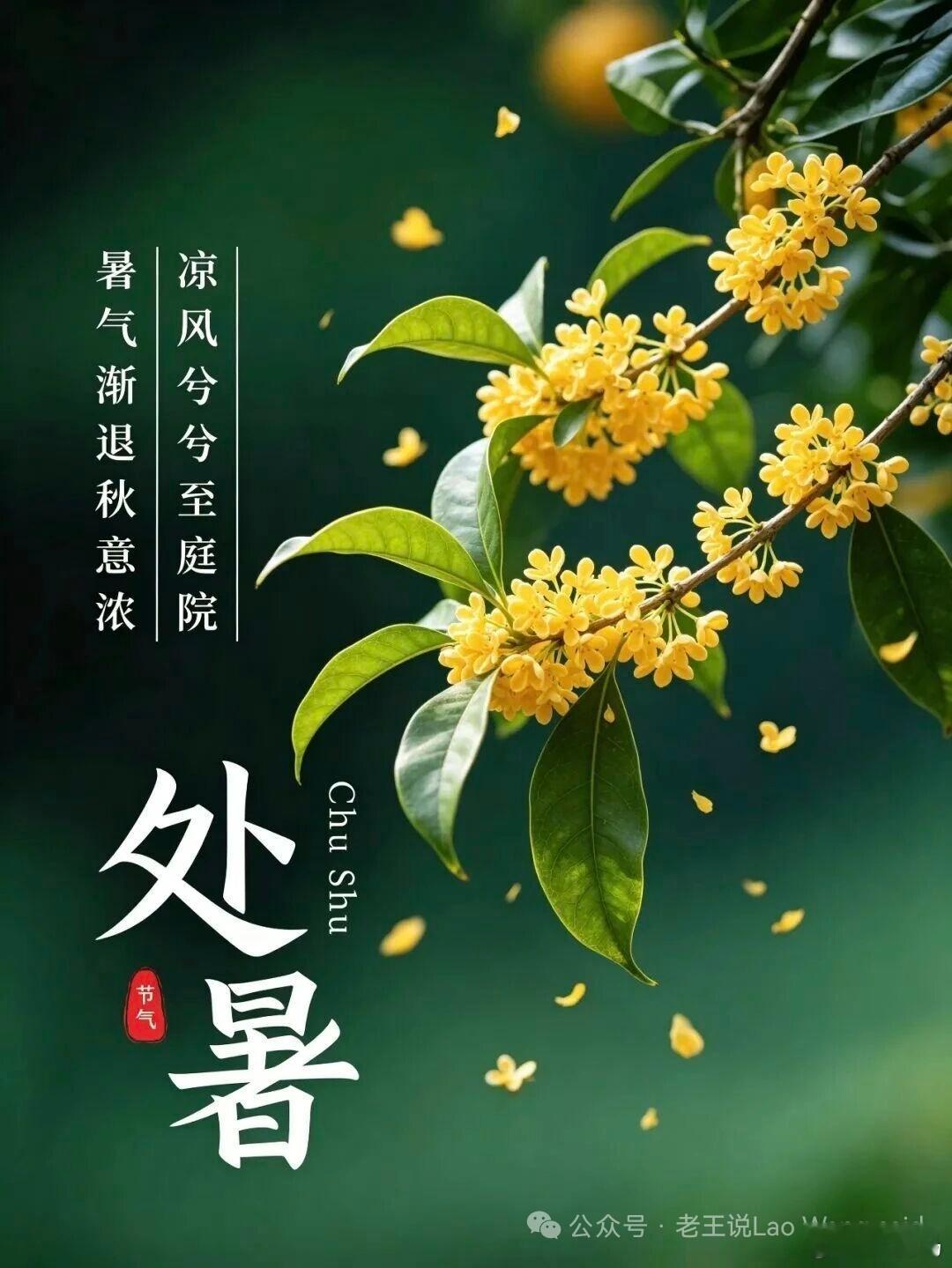 今日处暑，祝您处暑平安喜乐！处暑至，暑气收，清风破晓解烦忧。静心慢品时光柔，保重