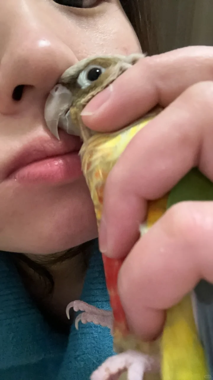 吸一下小新的头油味
