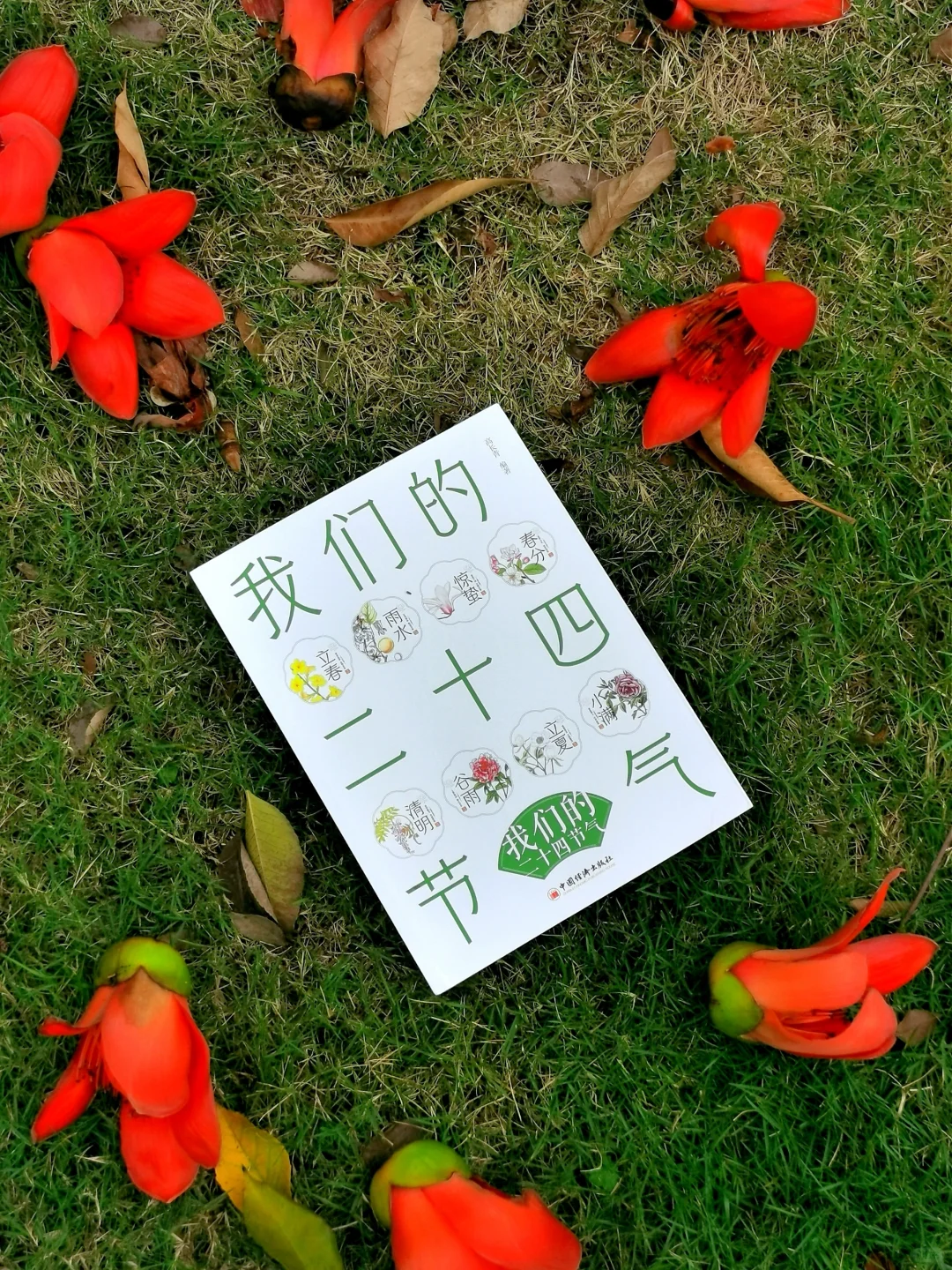 清明时节，来get一点二十四节气知识