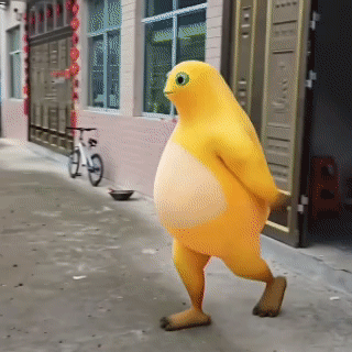 看久了奶蛙，我竟对它生出别样的情愫 ​​​