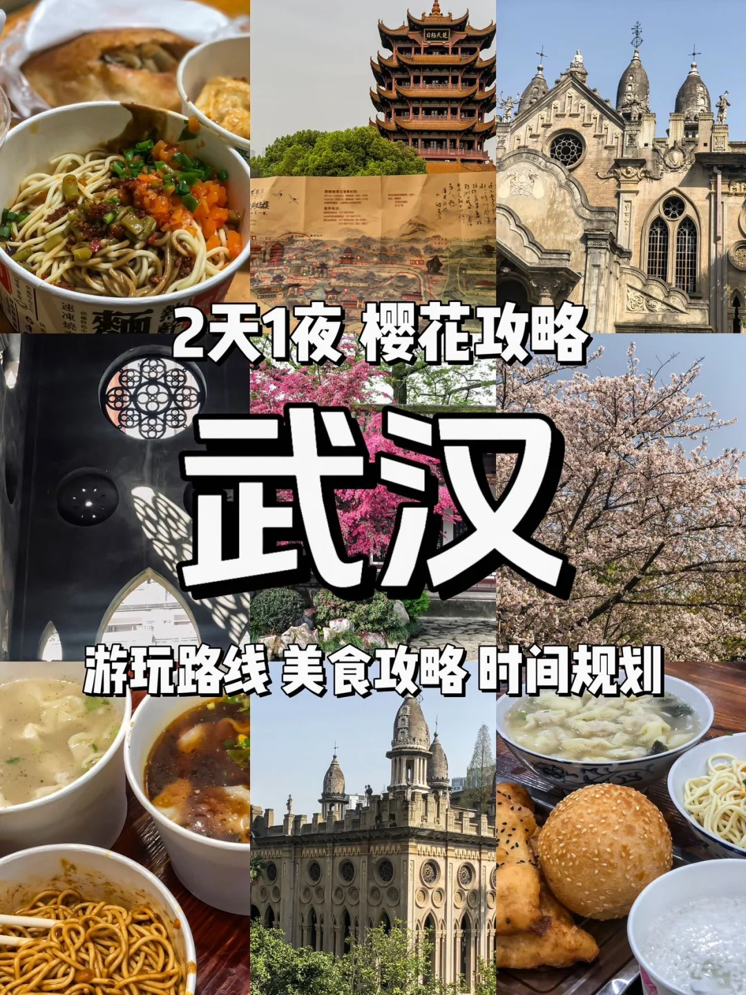 武汉的樱花又要开啦！！！