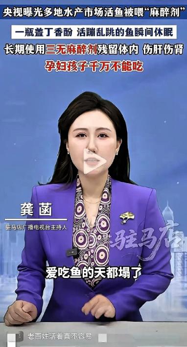 央视曝光多地水产市场，活鱼居然被喂“麻醉剂”！老百姓活着真不容易，吃一口鱼，都不