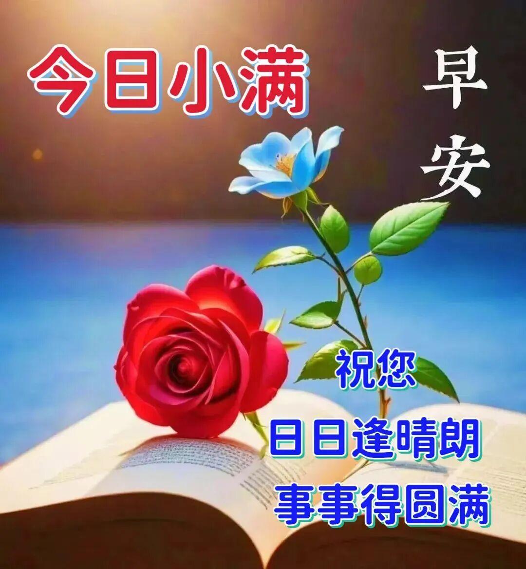今日小满，人生不求太满，小满即是圆满。小满时节，愿你收获满满，幸福满满，生活处处