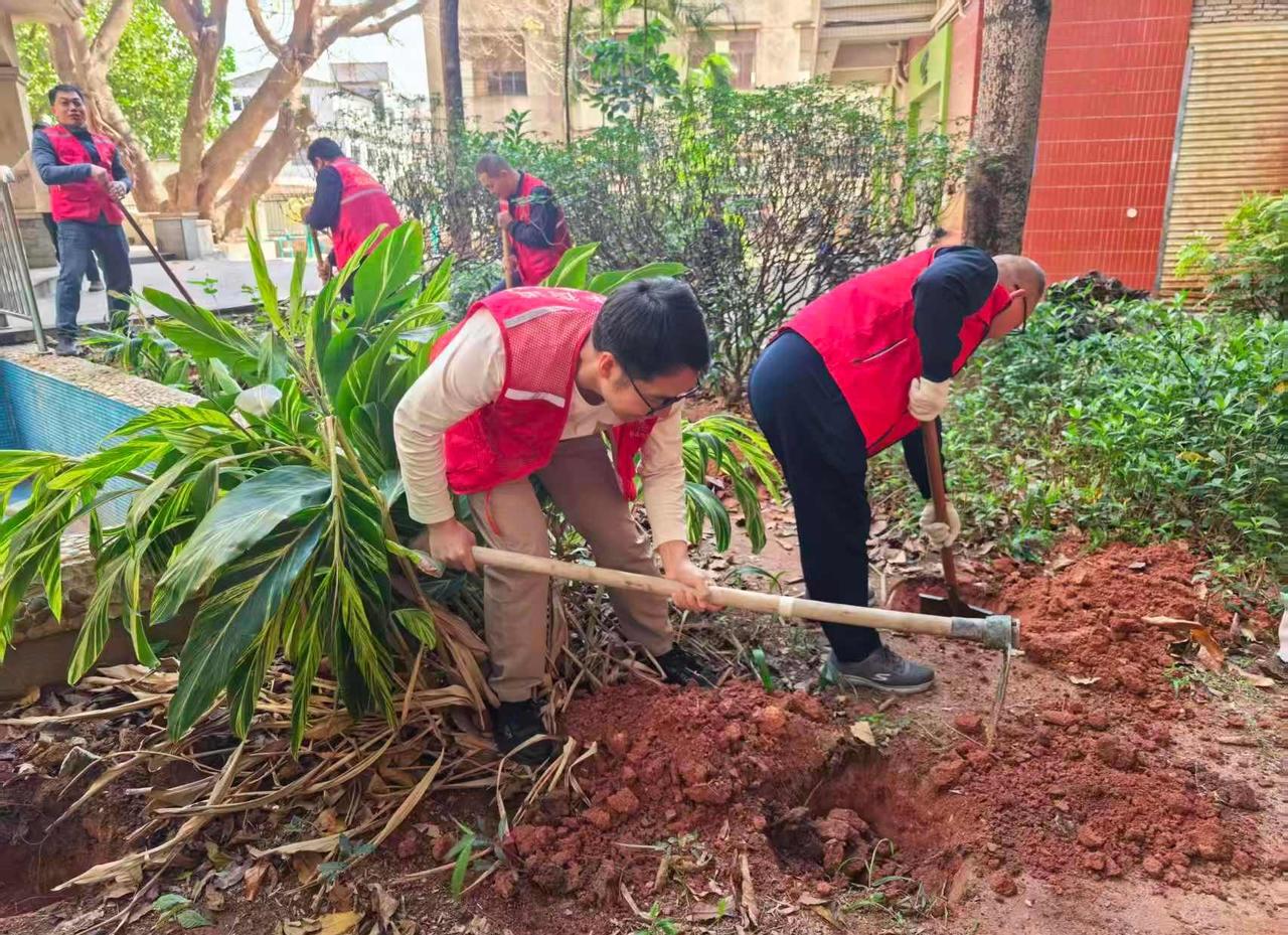 废弃年花年桔“再就业”，小区添绿正当时！近日，质监保障中心联合相关部门在社区开展