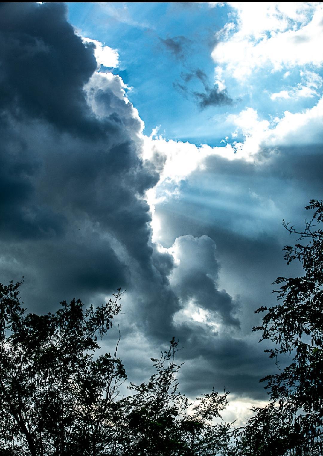 商人砸向全球的关税大棒，导致其国内普通家庭生活支出上涨，今年11月的中期选举，将