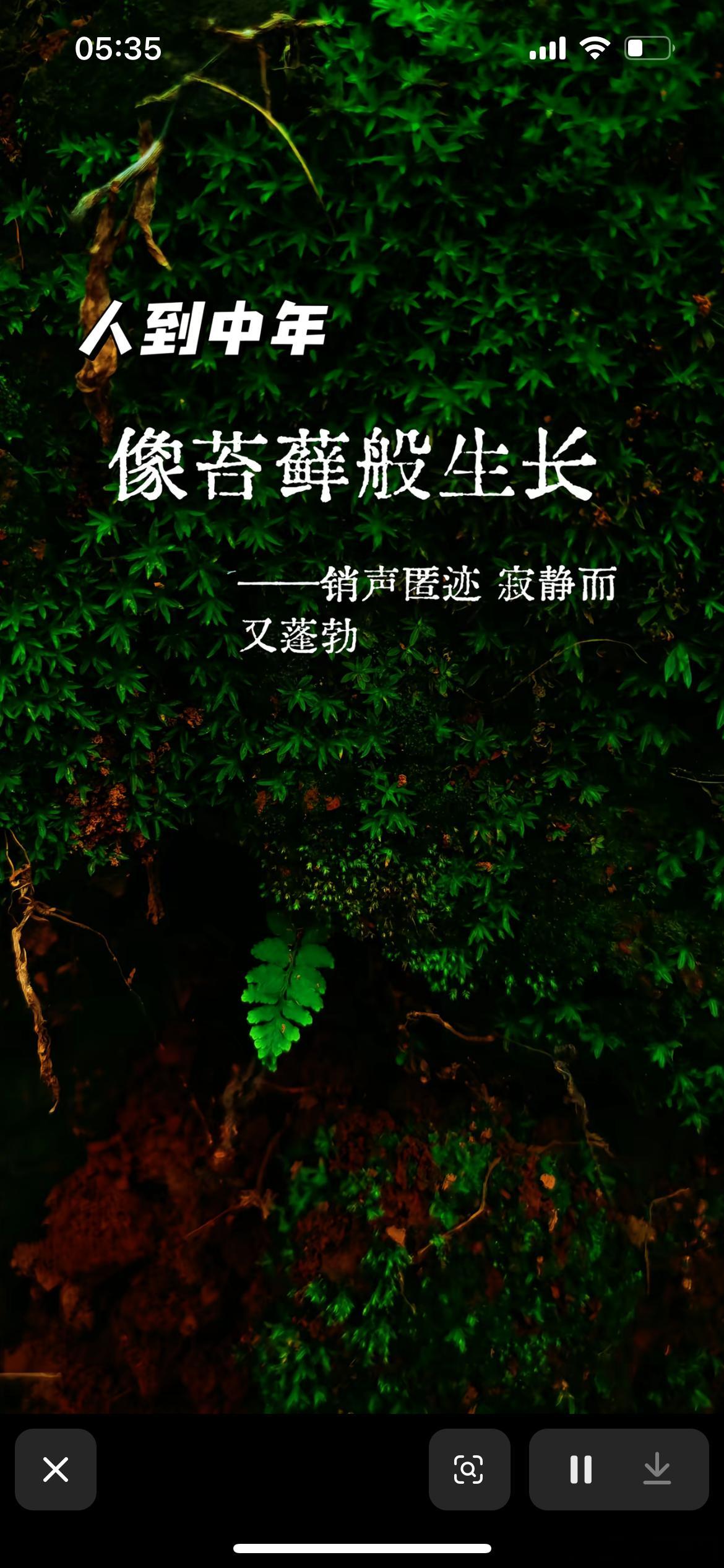 一想到还有两天就立秋了，止不住的欢喜，该死的炎热天气终于要结束了，夏天终于要过去