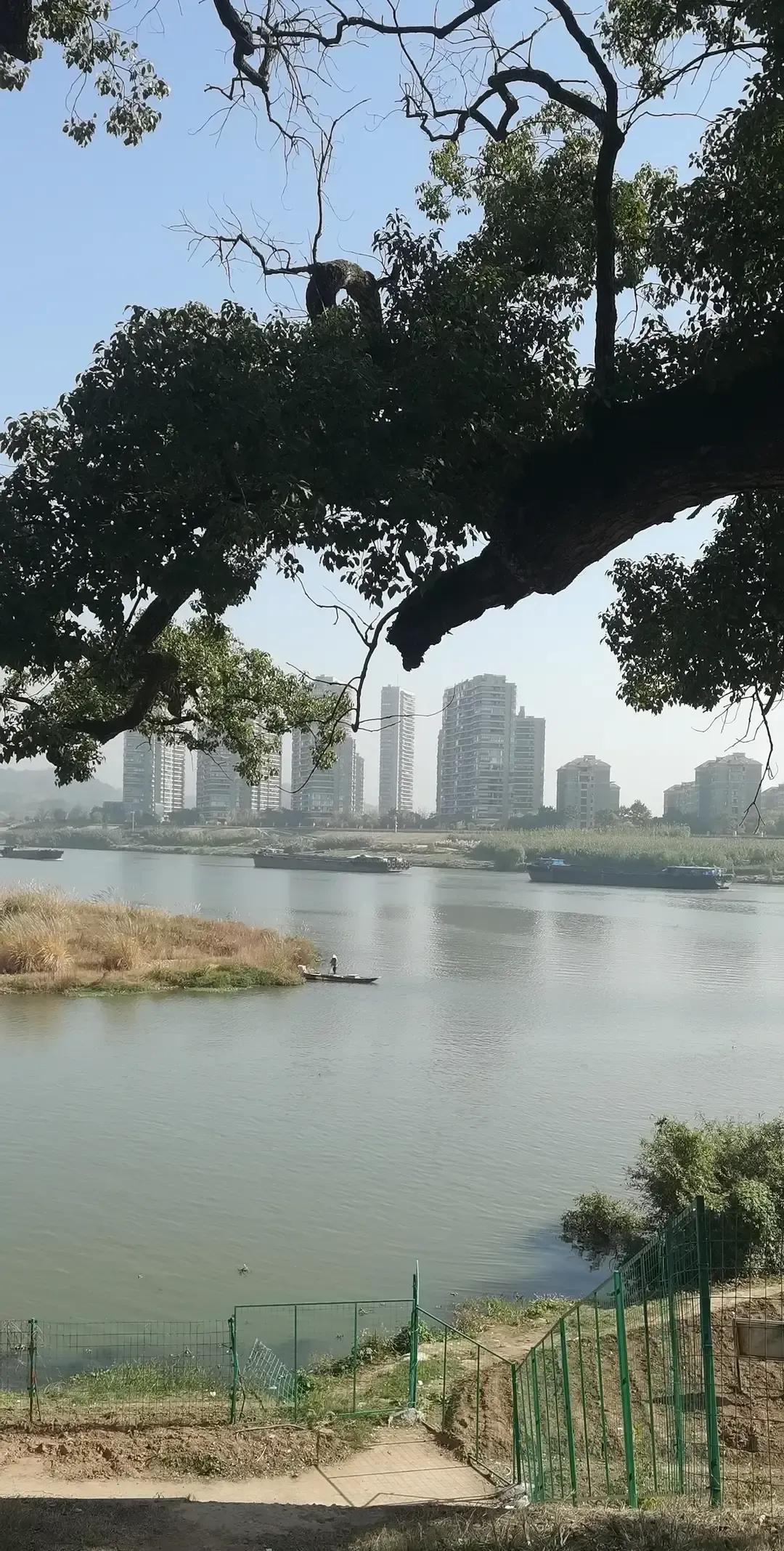 985海归儿子回家躺平半年，老妈先崩了。
我刷到那篇匿名帖，她说自己整夜睁眼数天