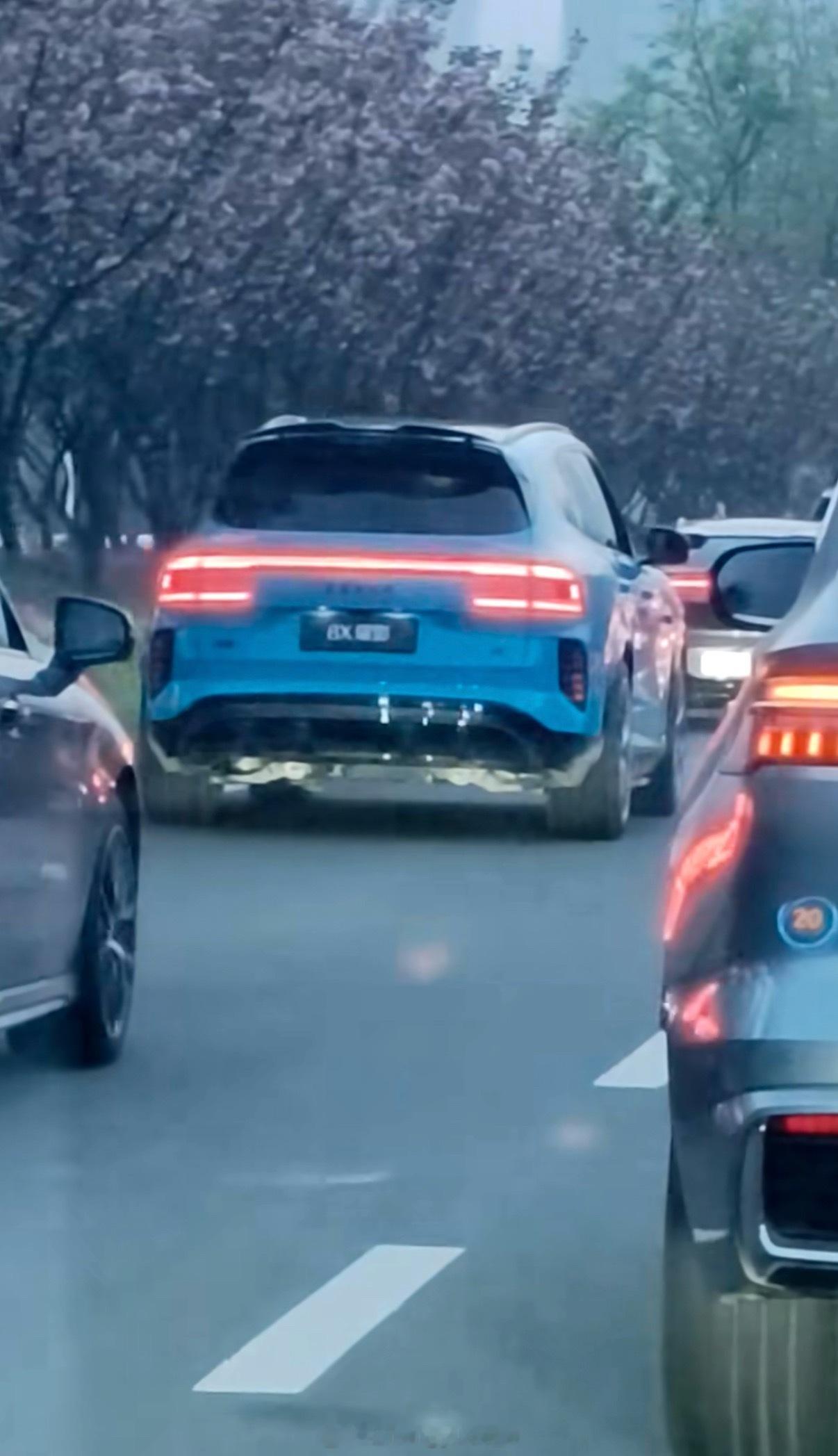 这极氪8X和9x完全俩风格啊后面看这么凶吗？开过的老师能说说怎么样？ 深圳