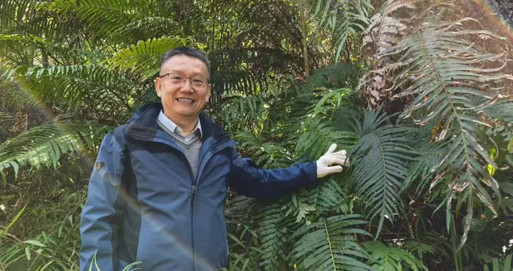 中国科学家发现植物能合成稀土纳米矿，机理尚待破解