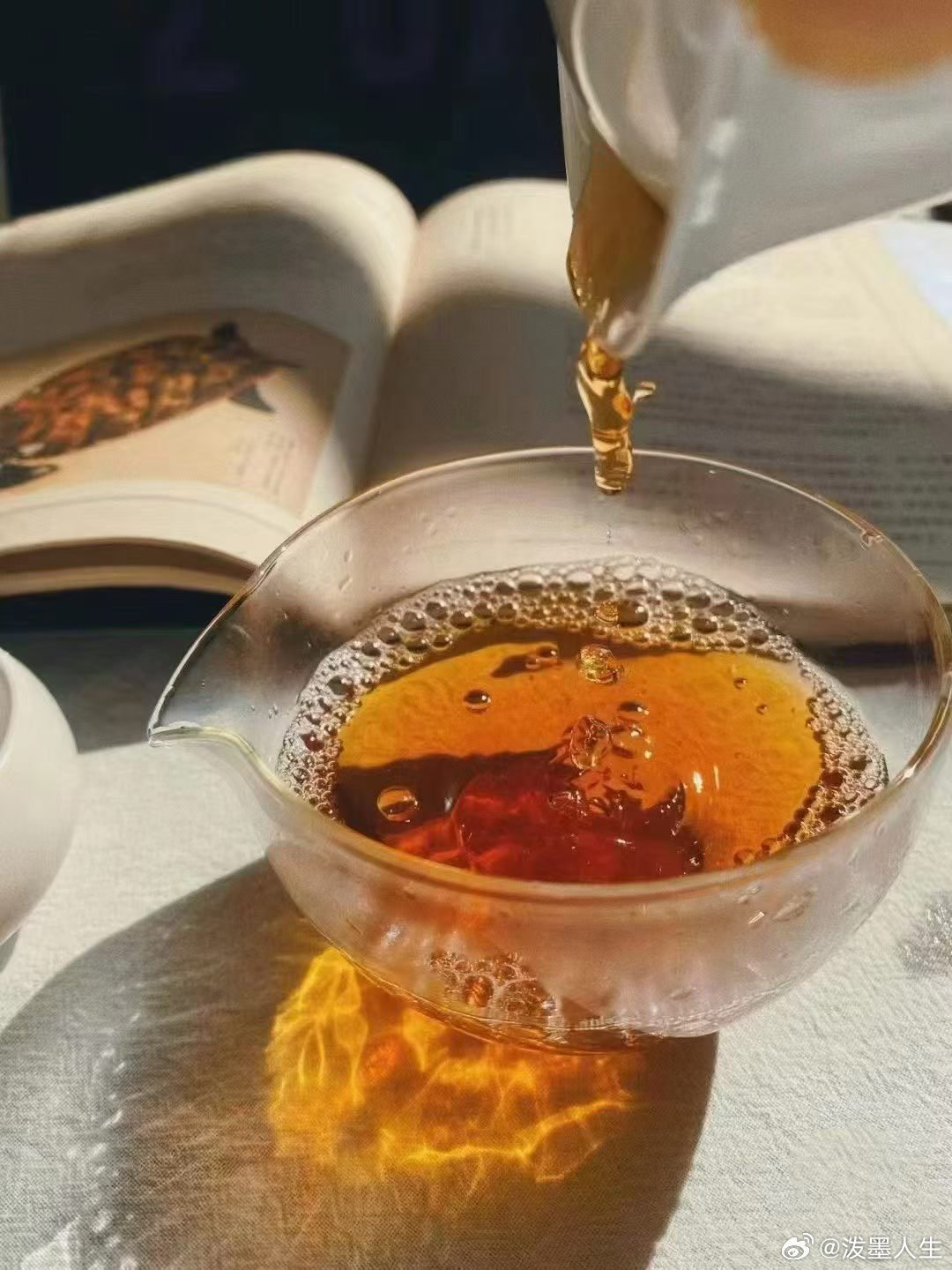 孤独的人，最好的选择就是泡一杯茶！！！ ​​​