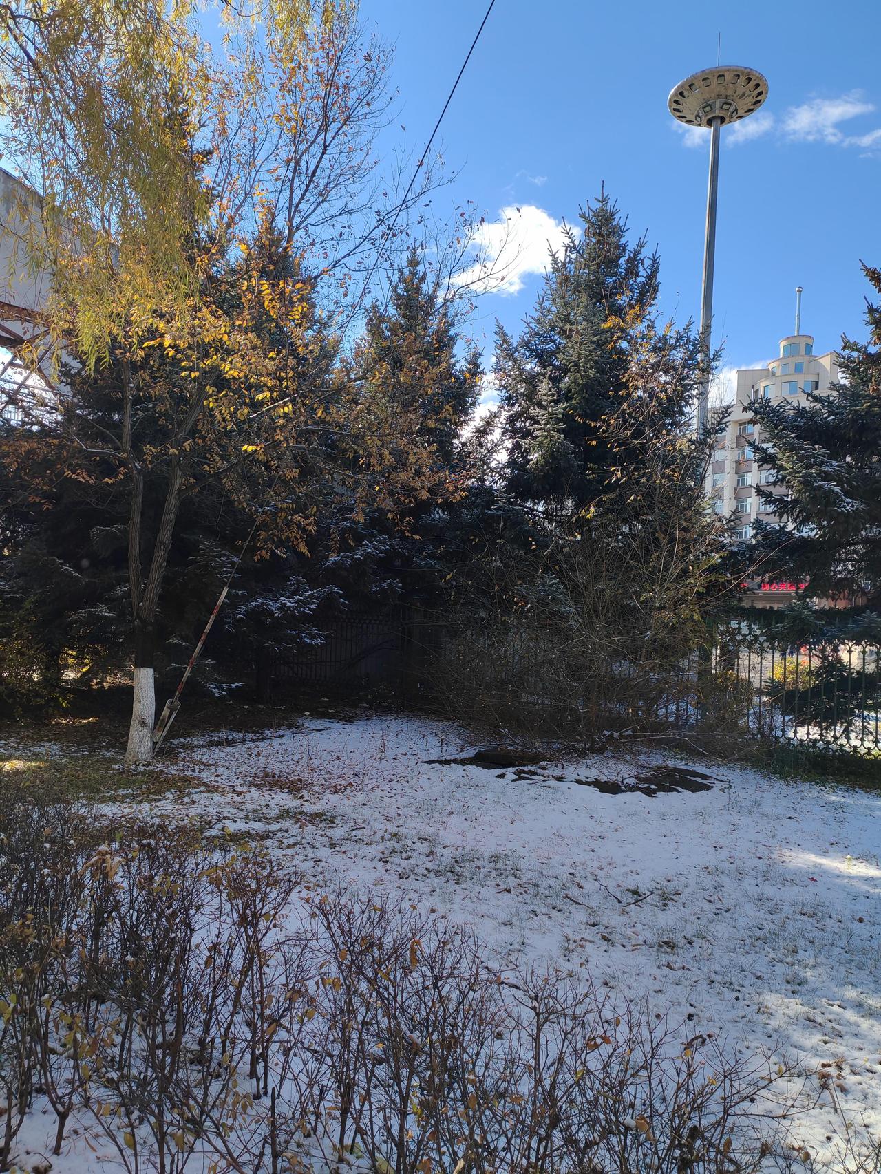清平乐·佳市雨霰
 
朔风初起，雨雪交相倚。
漫向长街沾寒袂，染尽边城疏苇。
三