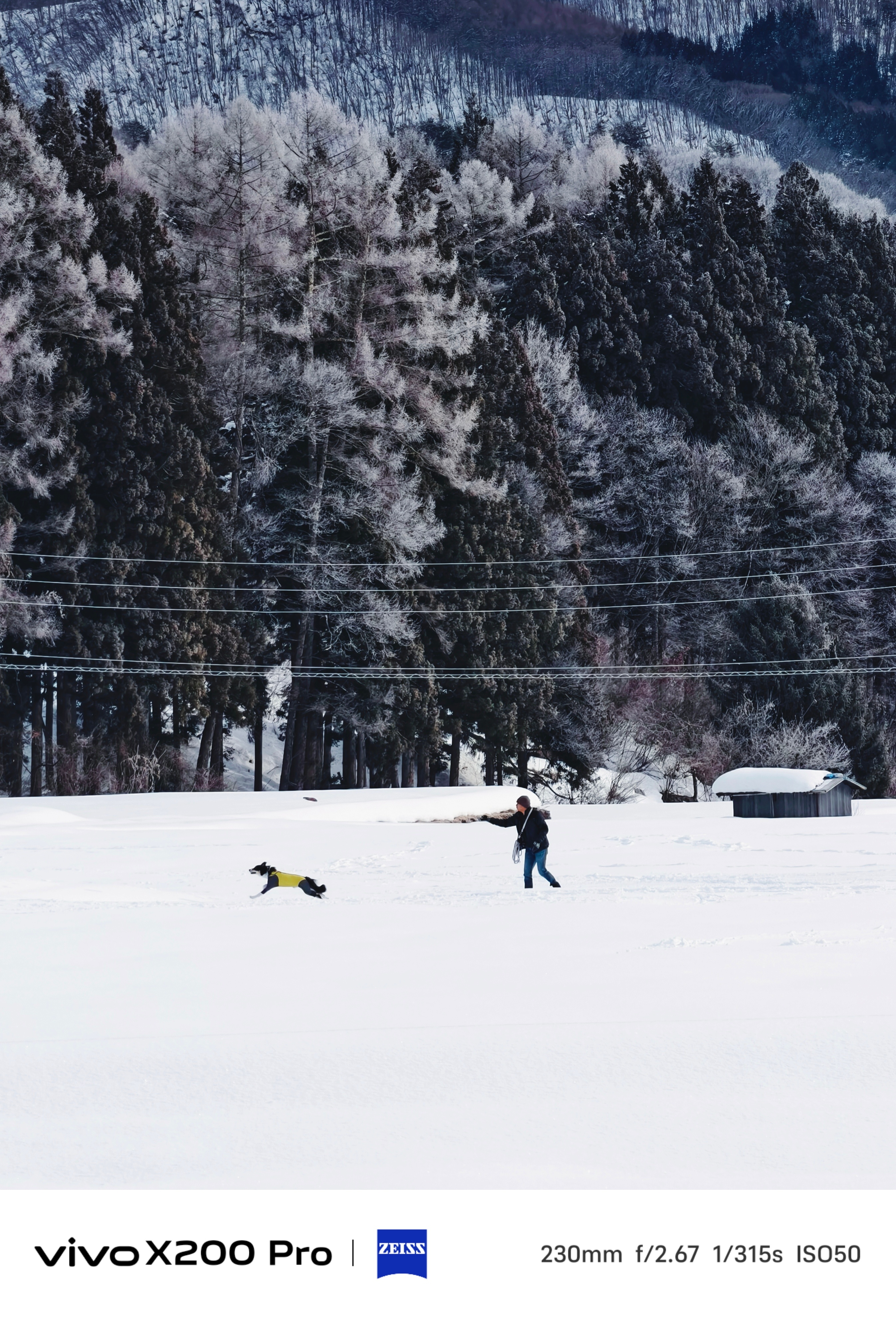 又要出发去下一个目的地惹，上次旅程的照片要及时整理完鸭。从雪村到小城[心]工作机