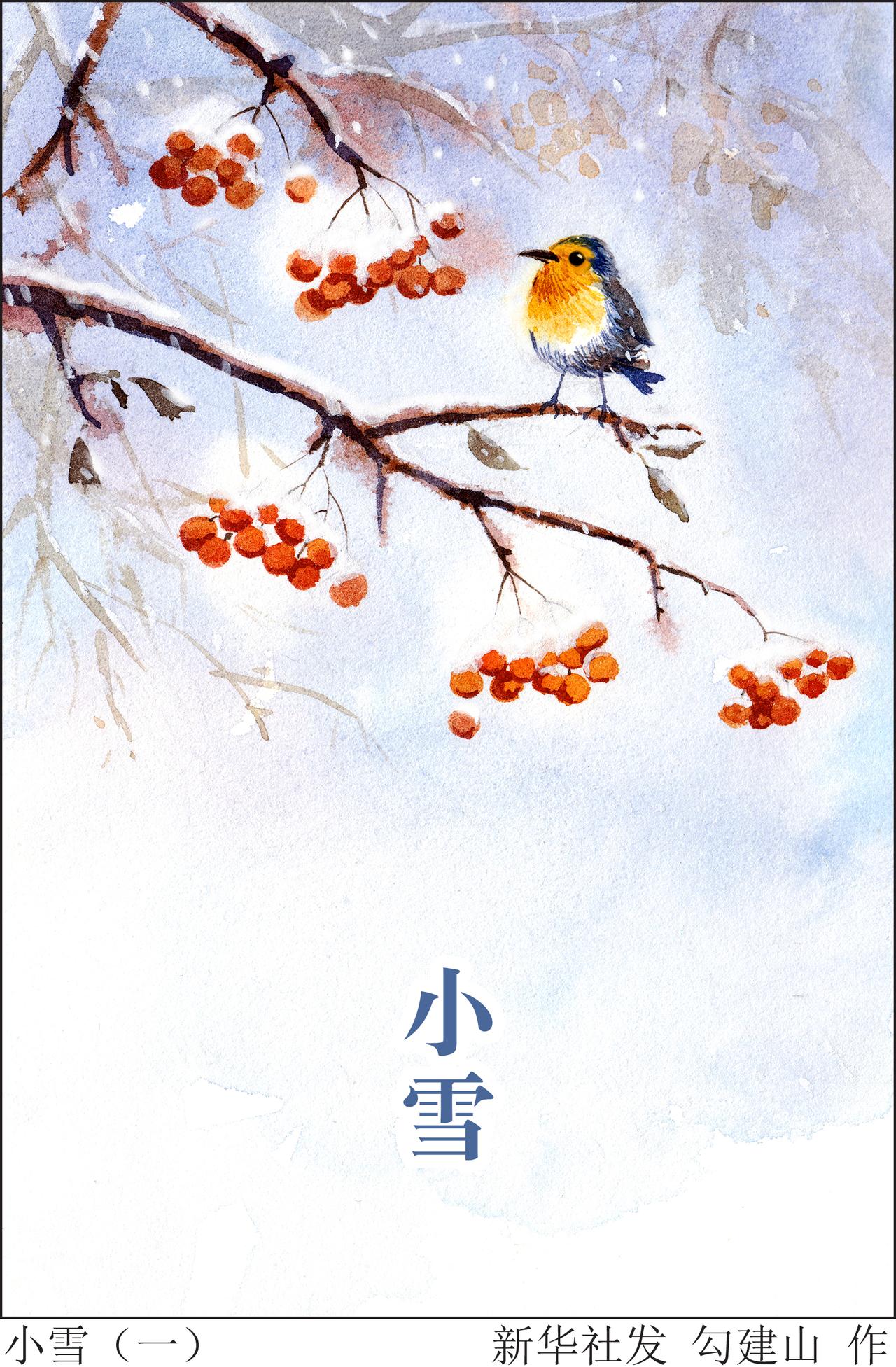 “小雪”，二十四节气中的第20个节气，不仅是自然界季节更替的标志，更是一场关乎我