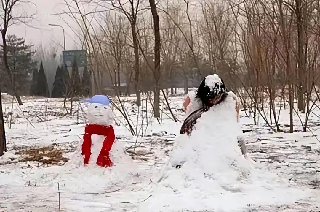 “啊，这雪人里面是个死人！”东北一大学的保洁阿姨，在校园里看到一个逼真的雪人。她