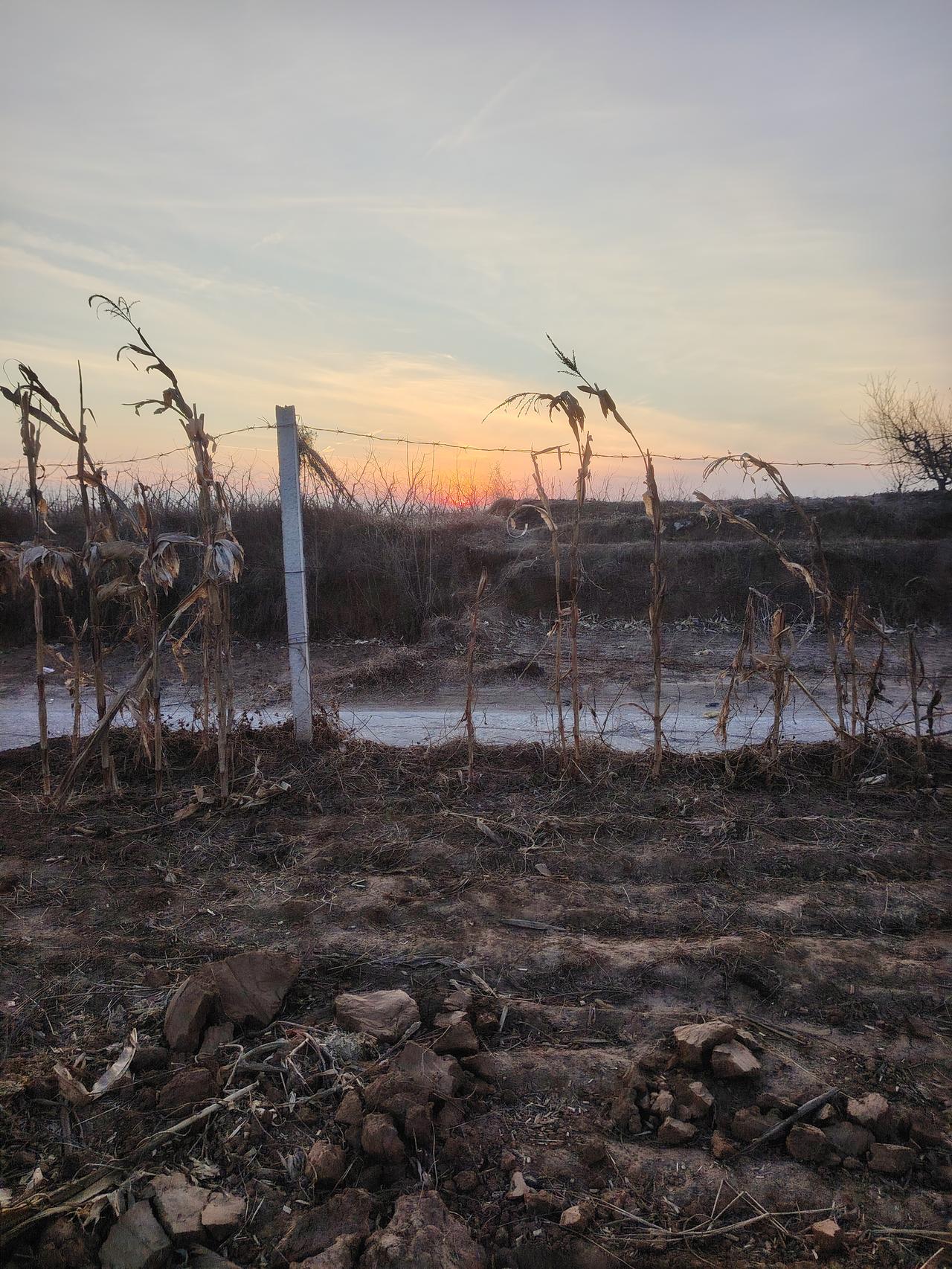 夕阳西下，枯草与田野的静谧之美。