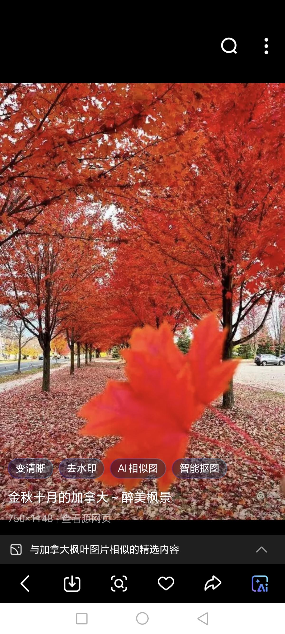 活到这把年纪，我们老年人只剩“三部曲”了，我同学在群里感叹！

有个同学在群里说