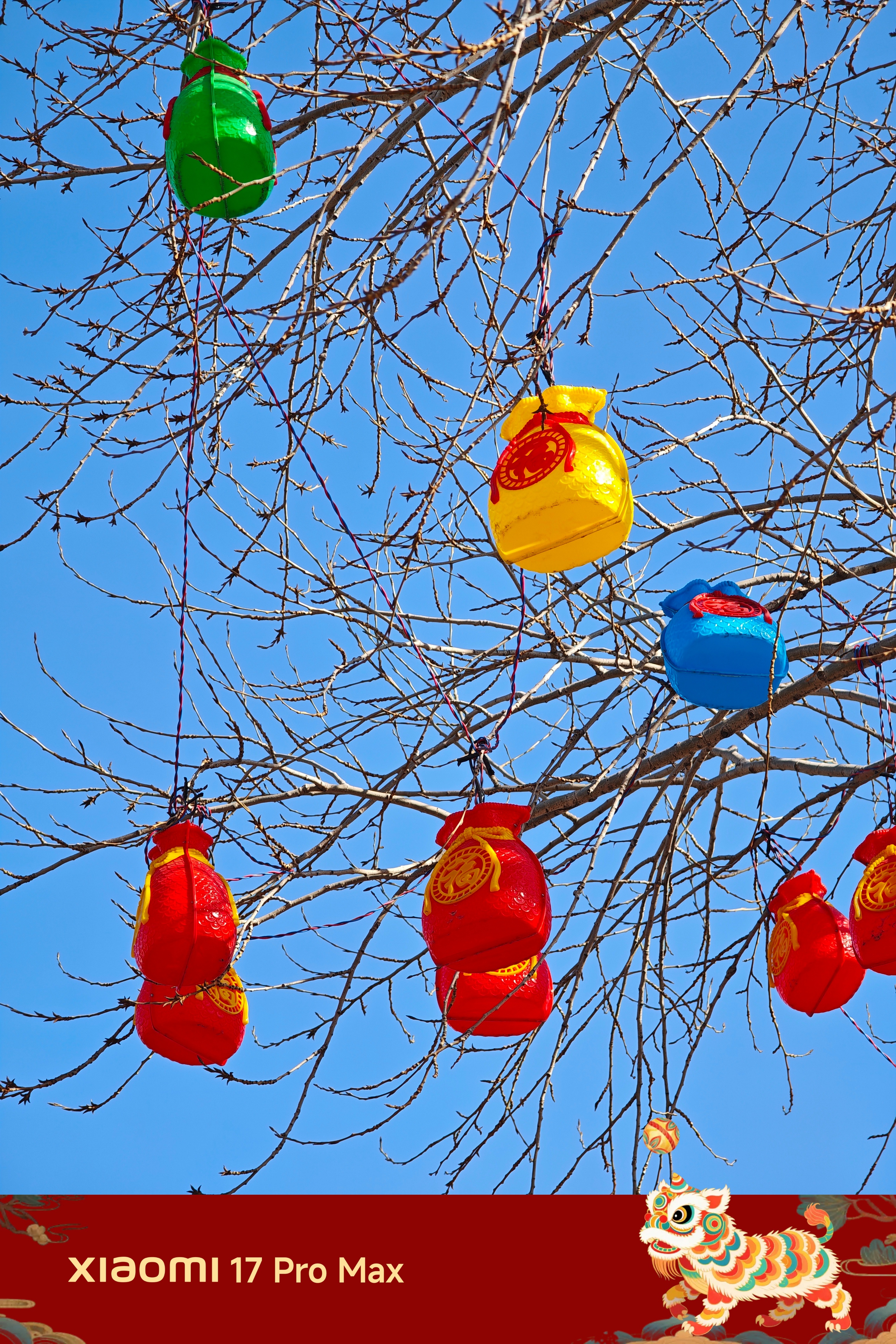中午好啊！南方小年快乐！没想到过年前可以这么忙！你们都什么时候开始放假啊！ 