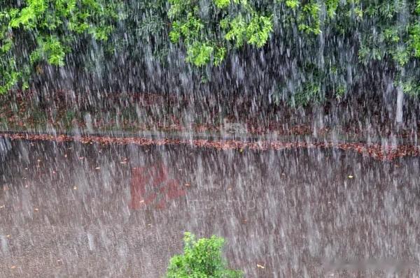 1917年张勋复辟当天大雨滂泼，拜见皇帝的大清文武百官个个被浇的像落汤鸡一样，不
