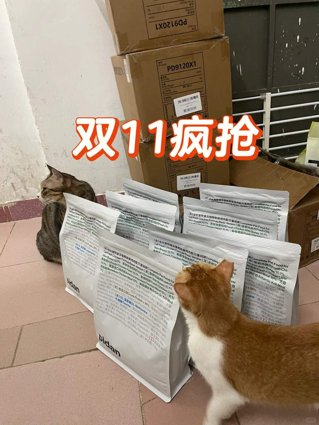 双11买买买🛍