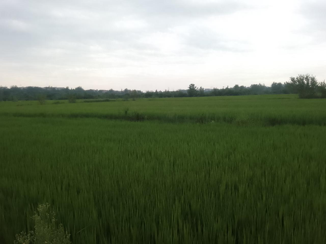 一切都看通透了，
就没有什么过不去的坎儿。
这次回趟家乡，
聊过的几个人都这样说