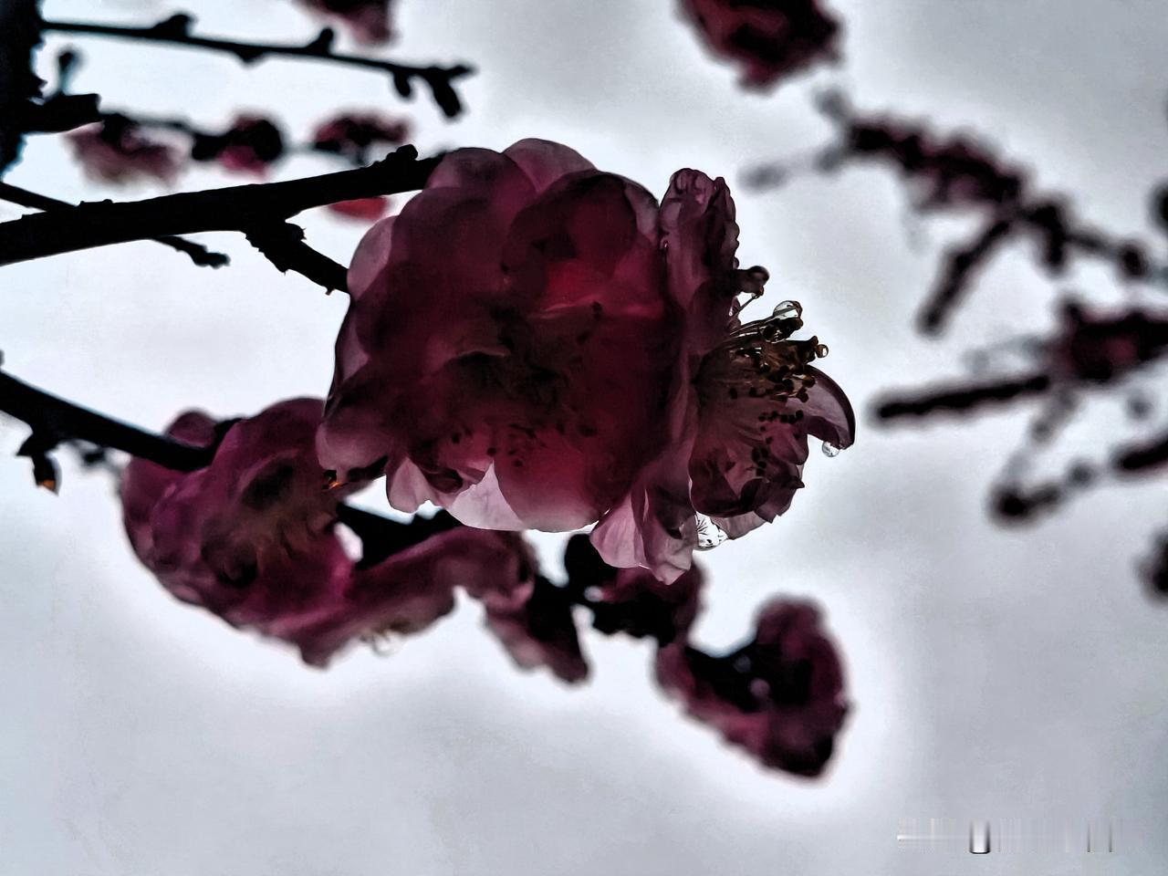 为什么说:“人老了，宁可让子女恨你，也别在这两个时间点给钱，一给关系就断”

在