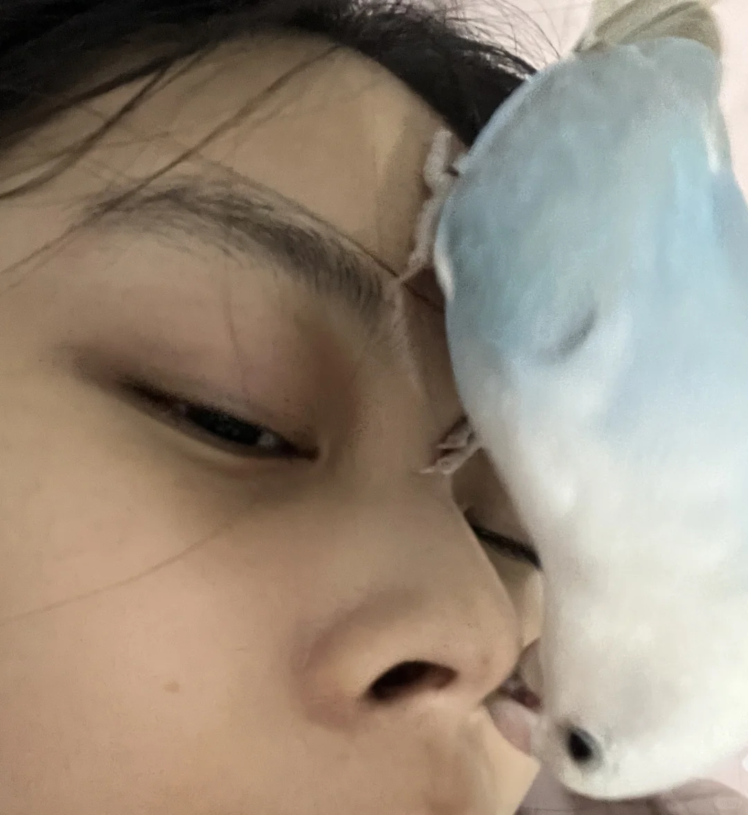 这位师傅 咱家的采耳服务还包括鼻子的吗