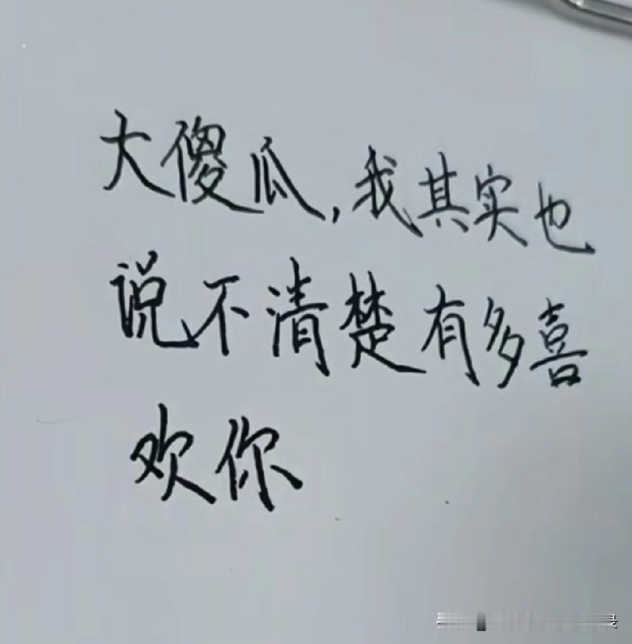 大傻瓜，
我其实也说不清楚有多喜欢你，
只知道你出现后，
我再也没心思和别人闲聊