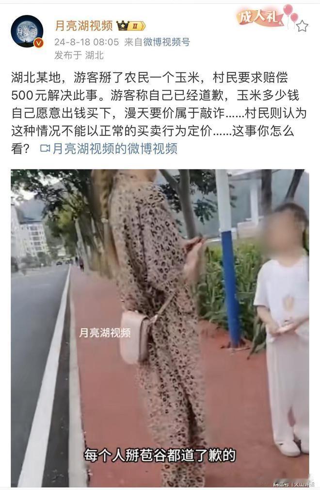 这是讹人吗？湖北某地游客掰了一个玉米，村民要求赔偿500元！在一个宁静的湖北乡村