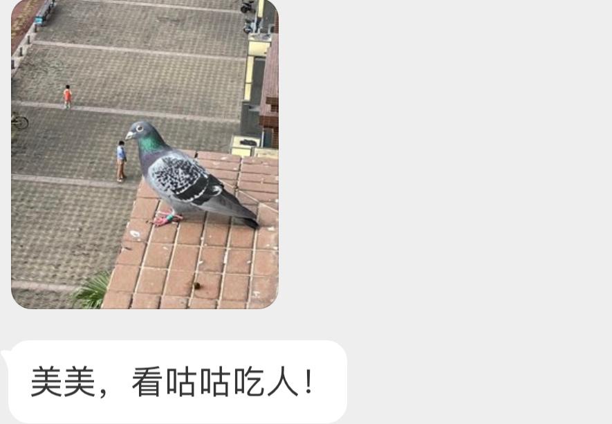 道理我都懂，但…… ​​​