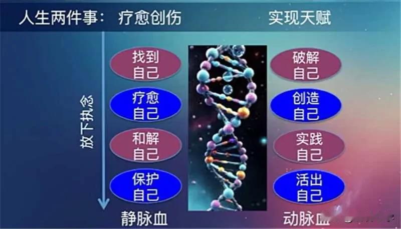 活好自己的前提源自
我们能够更好的认识人性
认识人性
才会更好的避免被伤害
而是