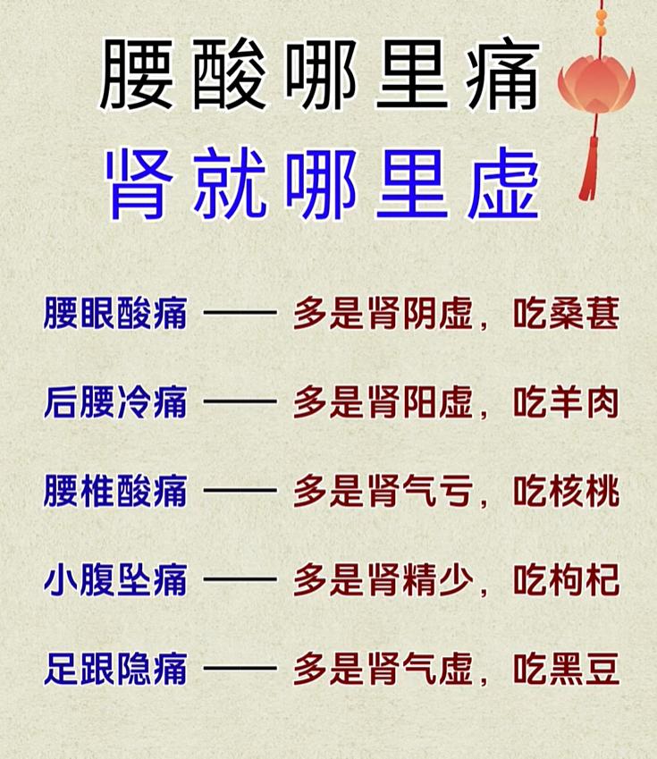 腰酸位置不一样，对应的肾气问题也不同