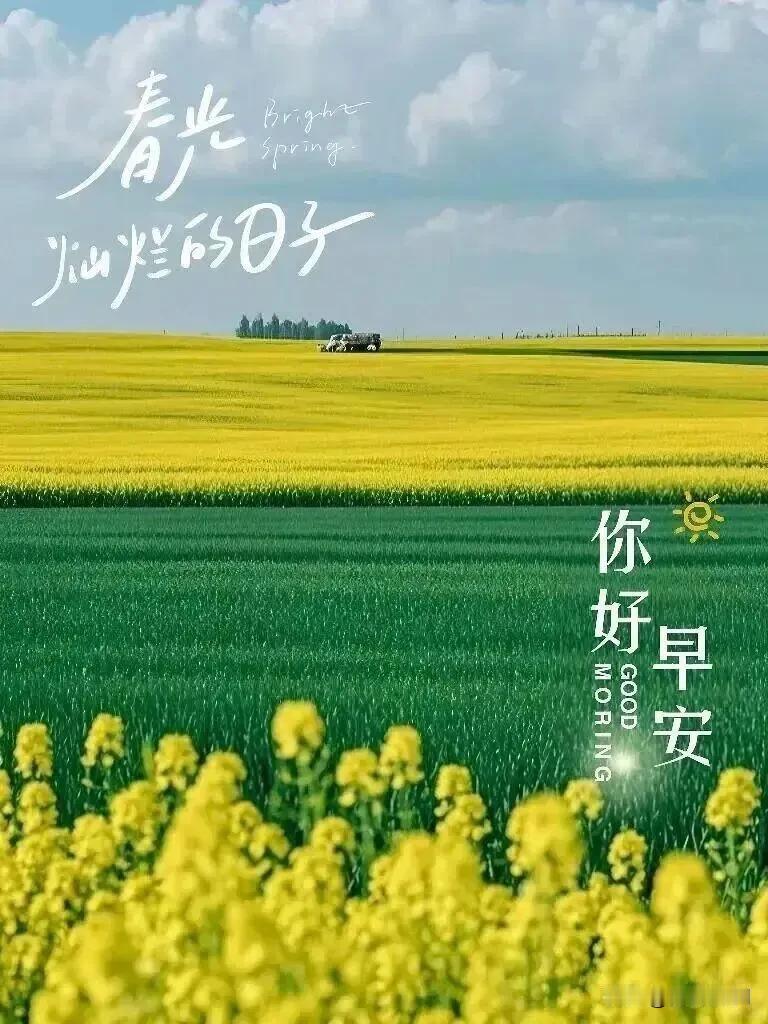 春风吹走烦恼，晨光带来希望，早安，愿日子清欢，万事顺遂。