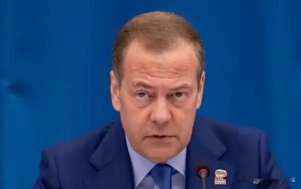 梅德韦杰夫今天发话，让欧洲人面红耳赤！

1月19日，梅德韦杰夫发文怼欧洲：“让