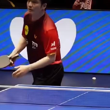 樊振东德甲输掉的
全都赢回来了！
首轮2‑3惜败鲁伊斯，1‑3不敌杜达，第五轮1