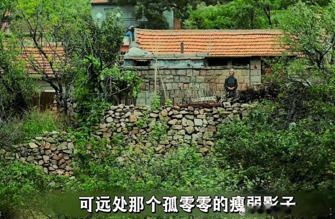 每次刷到《父母爱情》中的张桂兰，总是忍不住要流眼泪，在和大伯哥“偷情”的背后更是