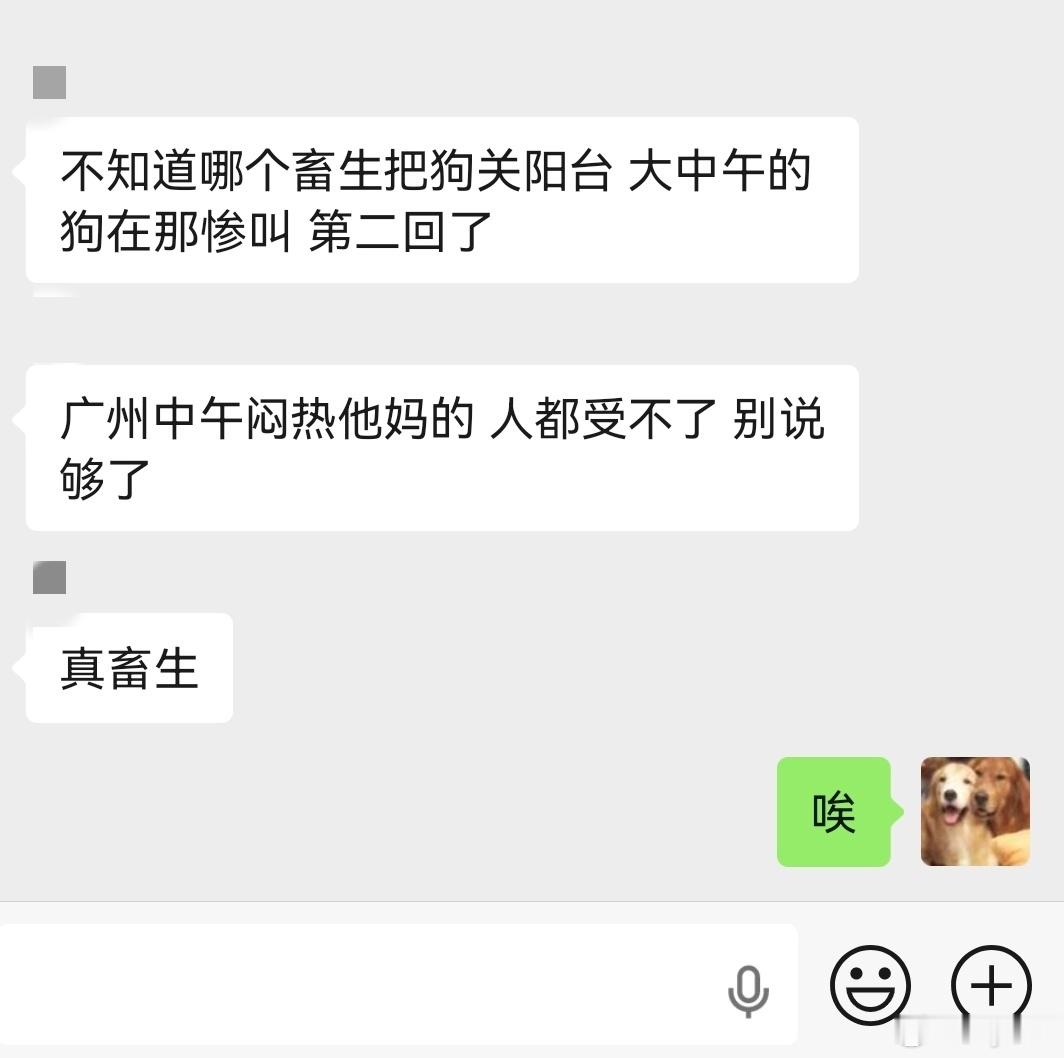 不知道说啥了…… 